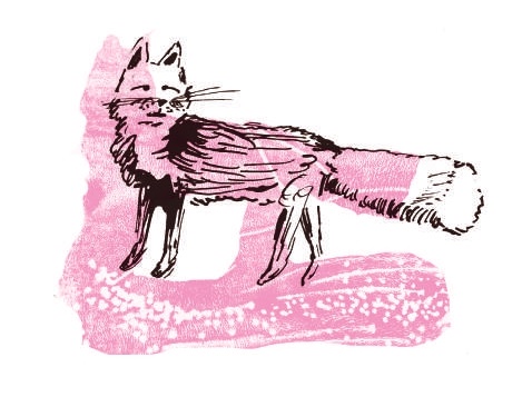 Fox drawing